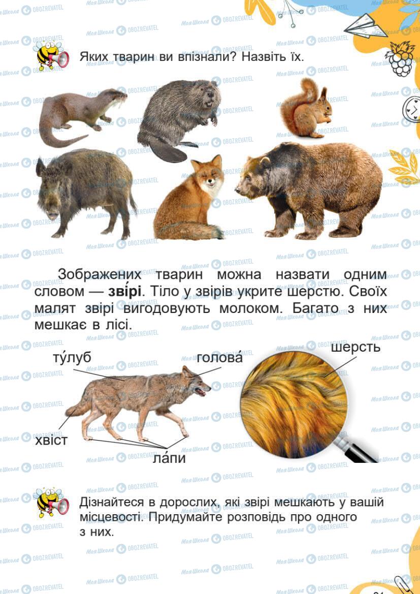 Підручники Я досліджую світ 1 клас сторінка 21