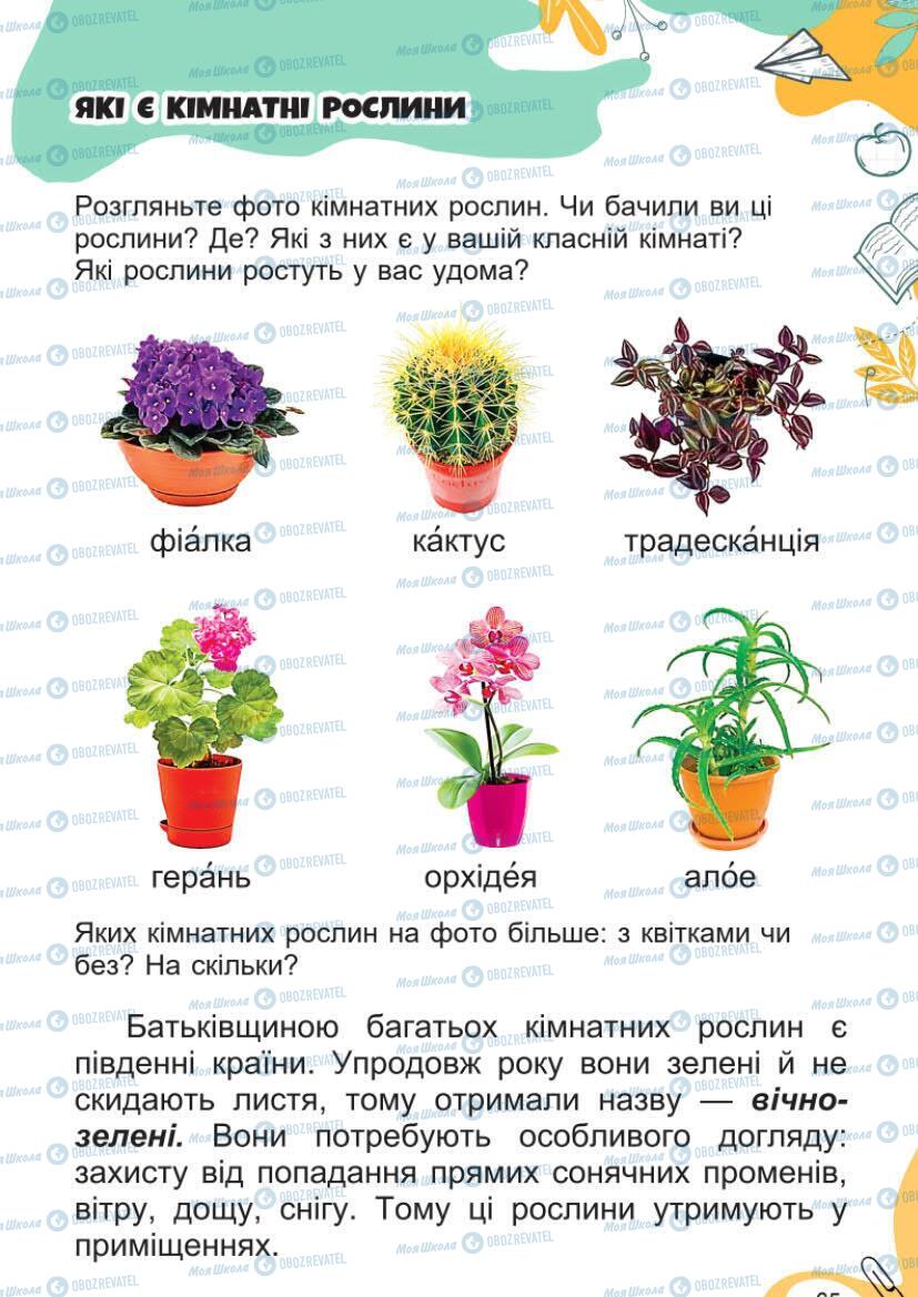 Підручники Я досліджую світ 1 клас сторінка 65