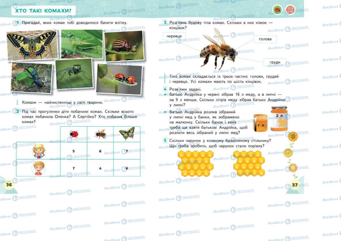 Підручники Я досліджую світ 1 клас сторінка 36-37