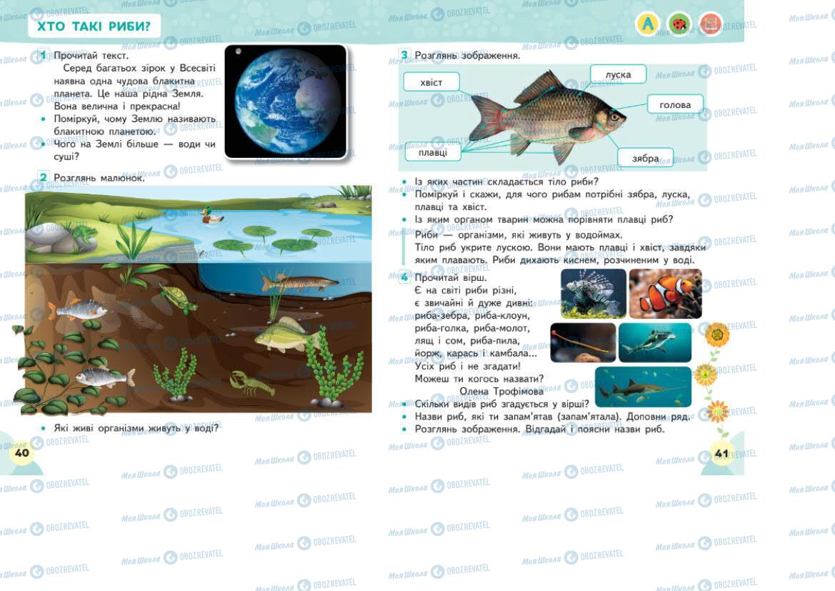 Підручники Я досліджую світ 1 клас сторінка 40-41