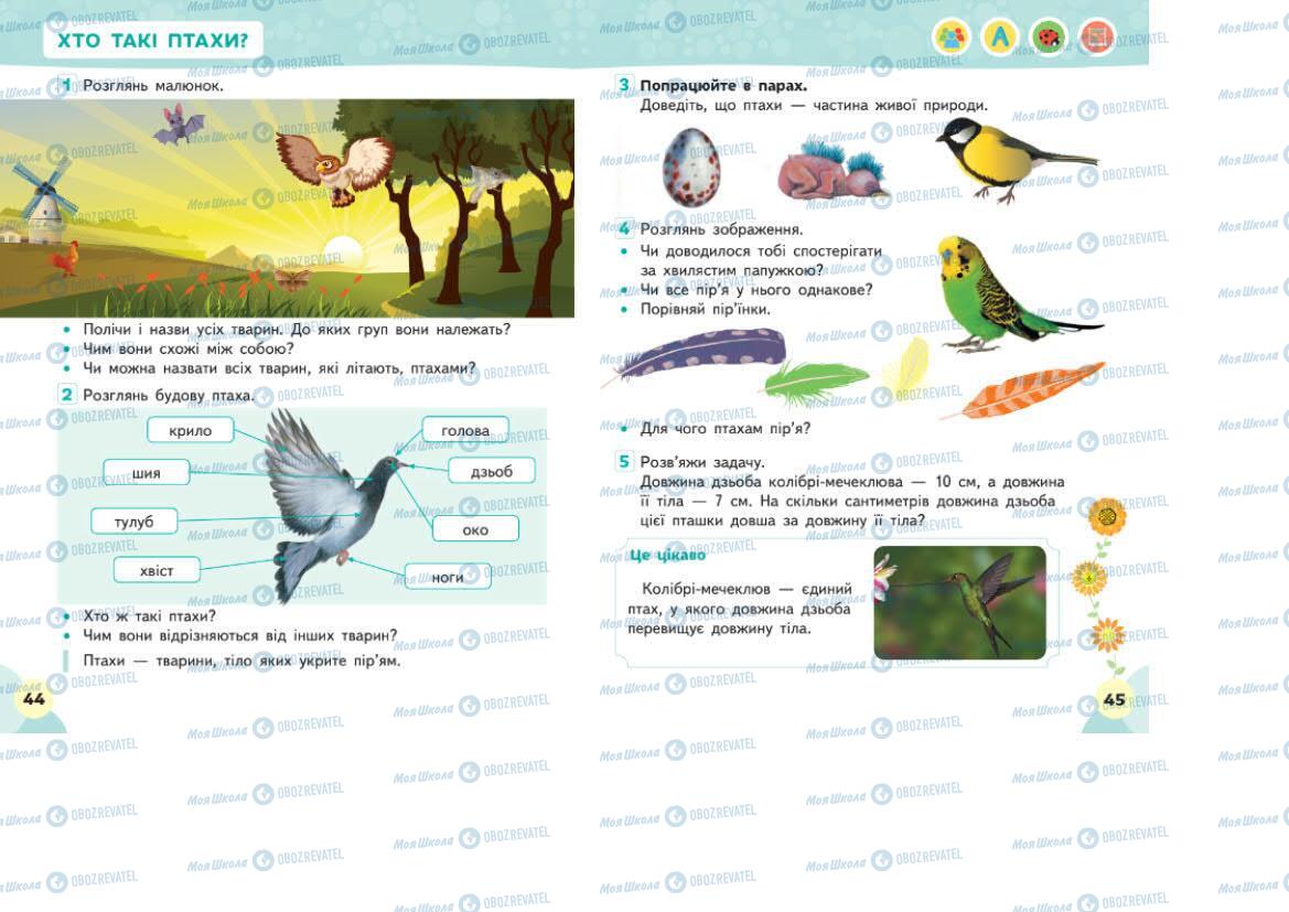 Підручники Я досліджую світ 1 клас сторінка 44-45