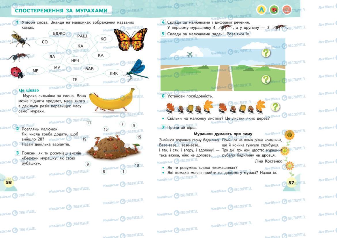Підручники Я досліджую світ 1 клас сторінка 56-57