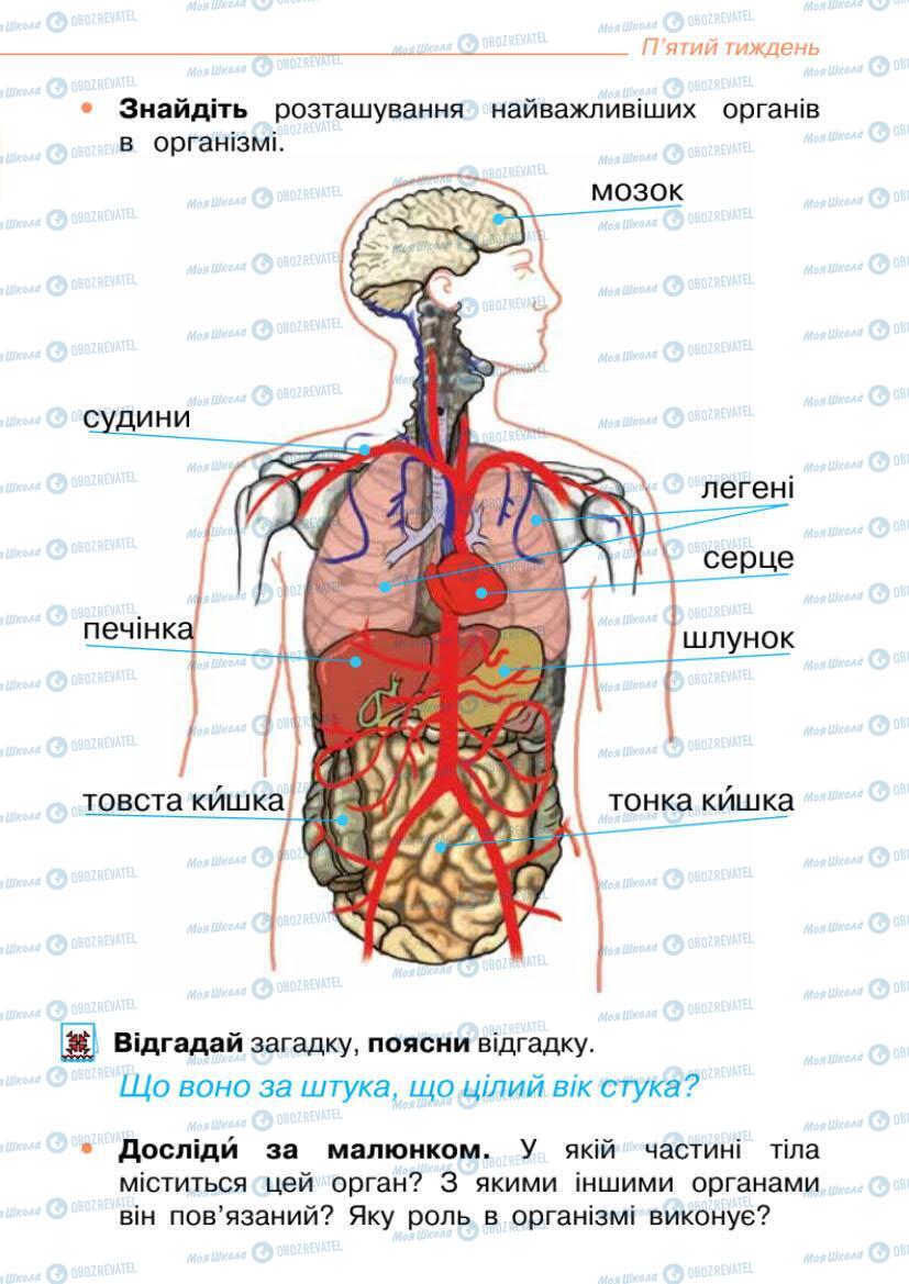 Підручники Я досліджую світ 1 клас сторінка 27