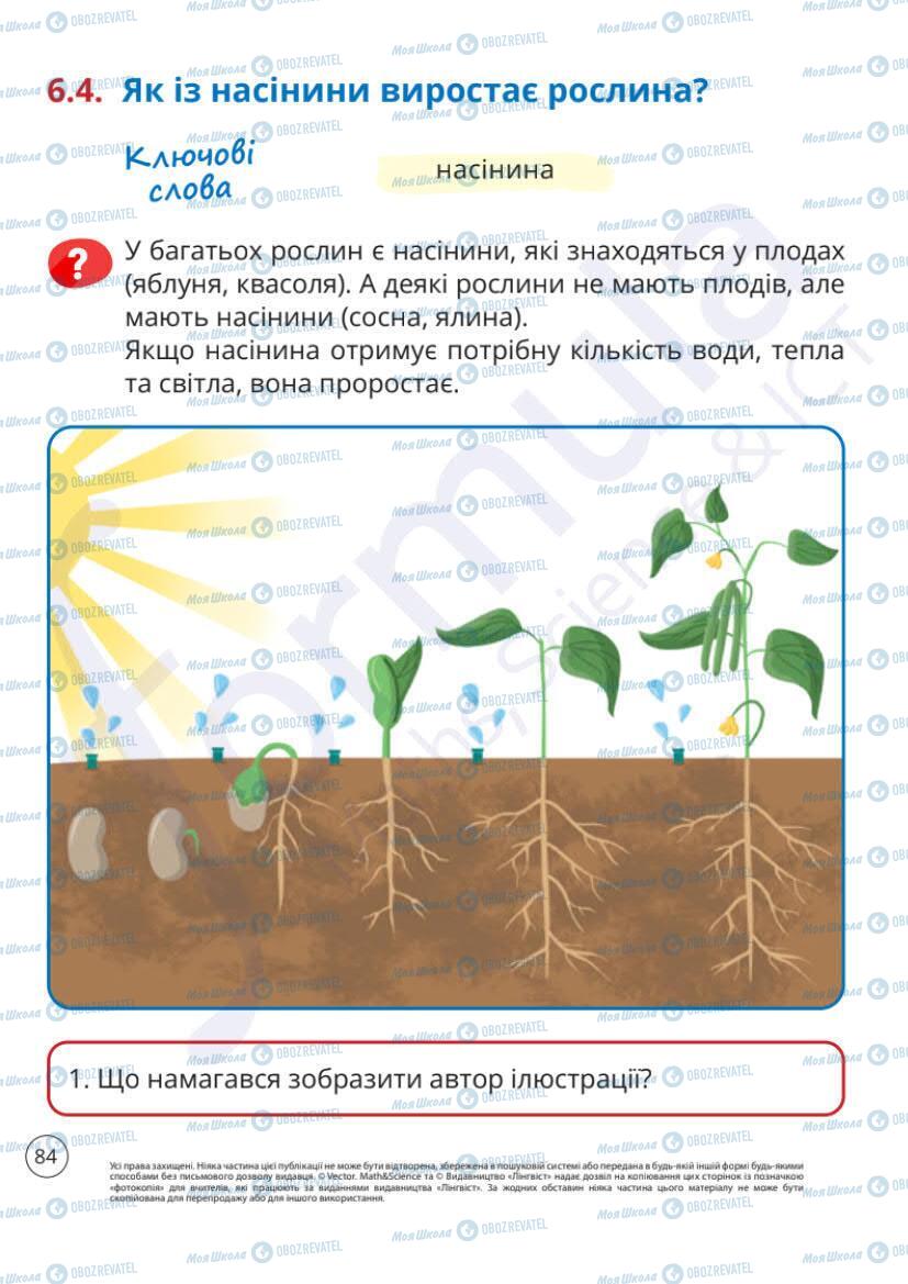 Учебники ЯДС (исследую мир) 1 класс страница 84