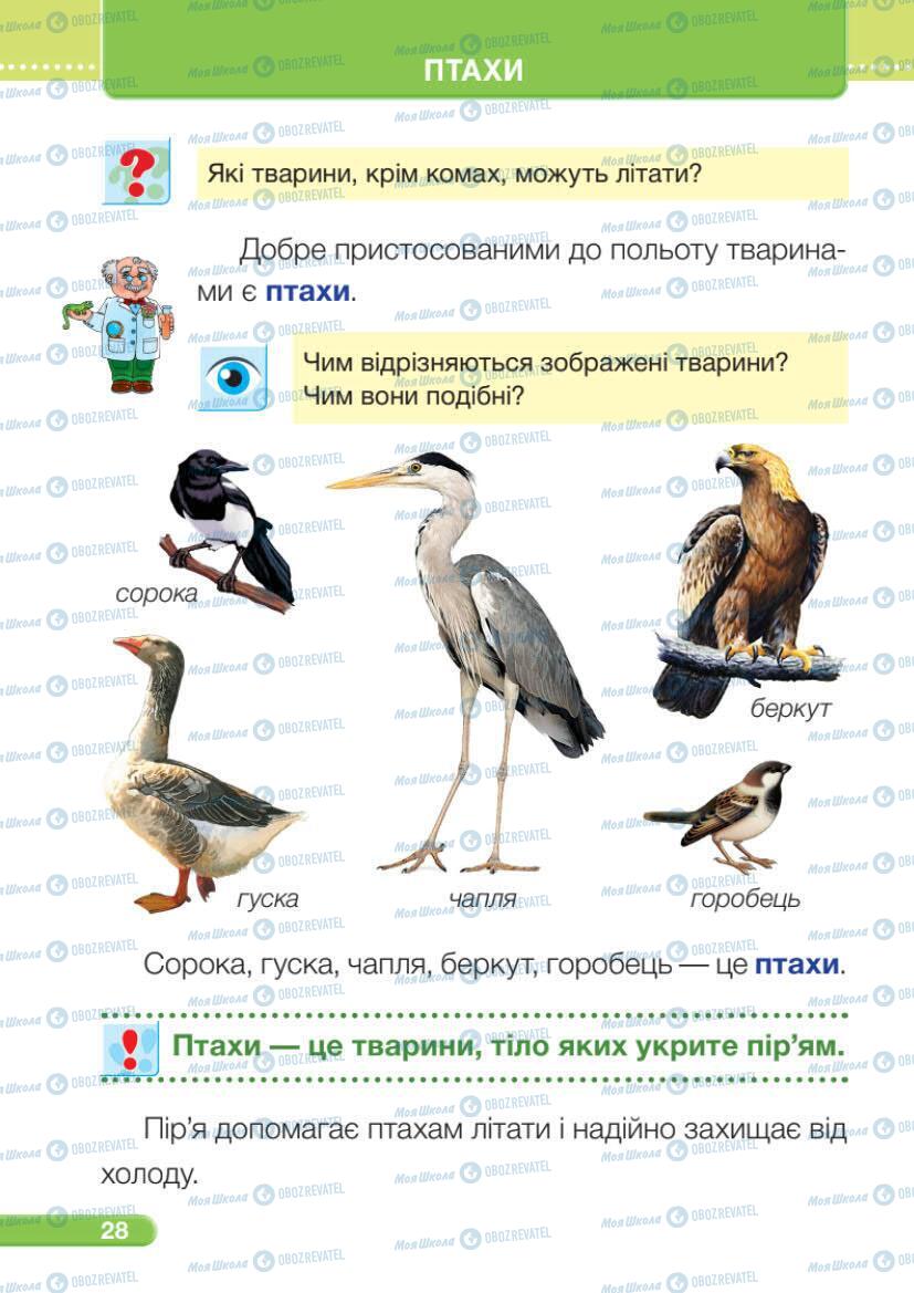 Підручники Я досліджую світ 1 клас сторінка 28