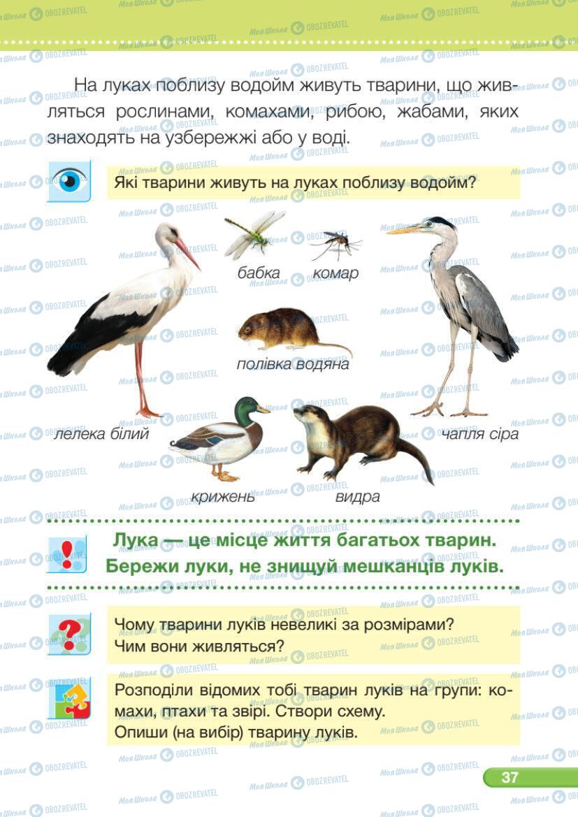 Підручники Я досліджую світ 1 клас сторінка 37