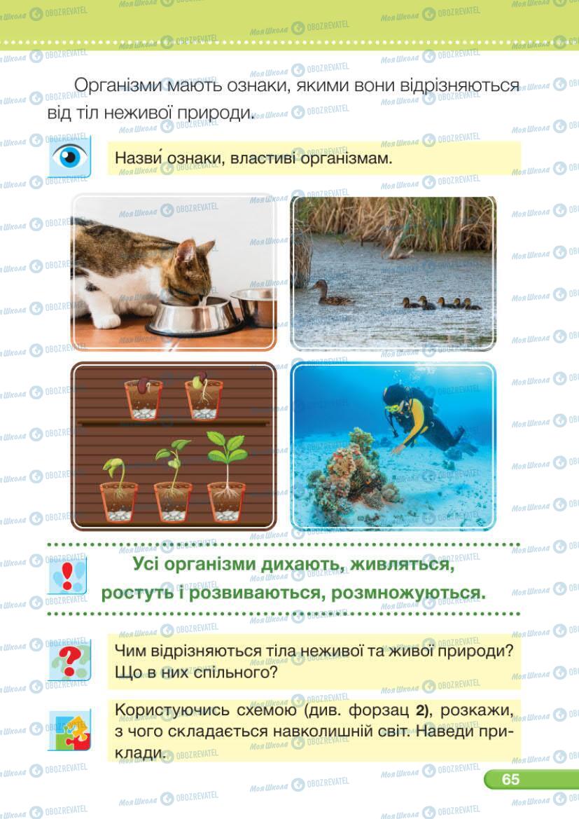 Підручники Я досліджую світ 1 клас сторінка 65