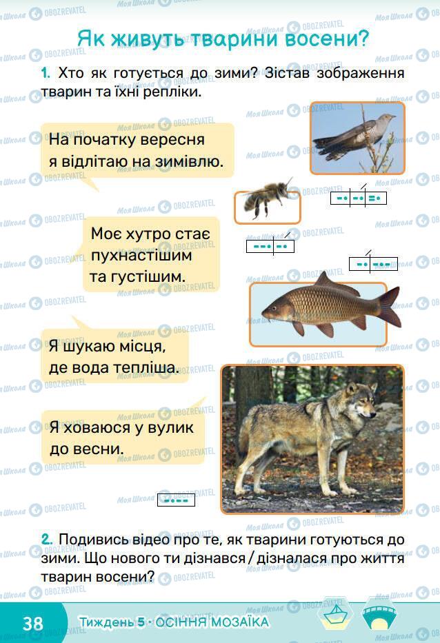 Підручники Я досліджую світ 1 клас сторінка 38