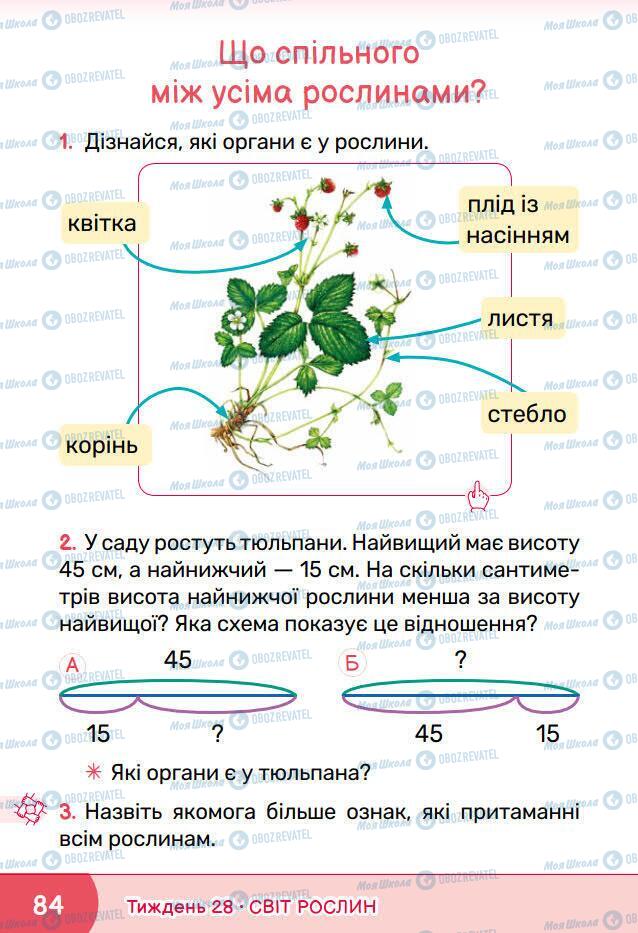 Підручники Я досліджую світ 1 клас сторінка 84