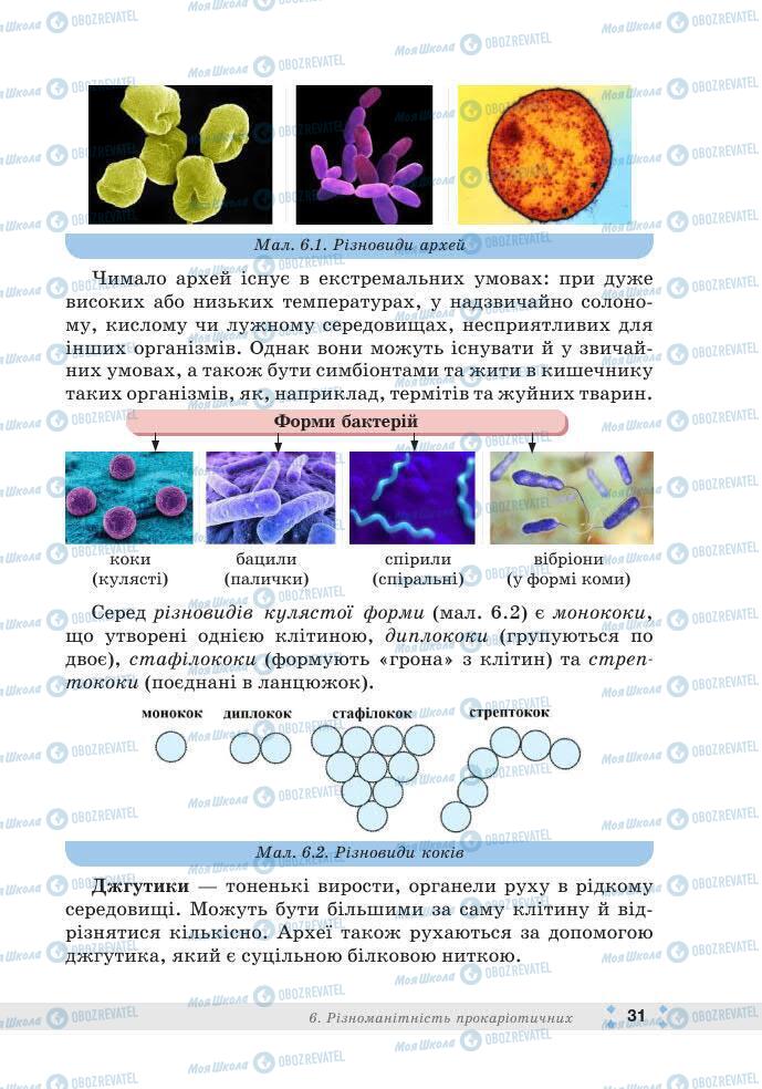 ГДЗ Біологія 7 клас сторінка 31