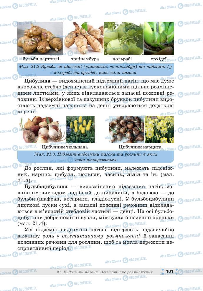ГДЗ Біологія 7 клас сторінка 101