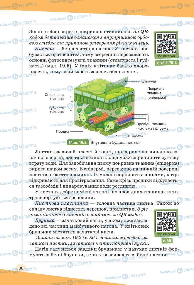 Учебники Биология 7 класс страница 88