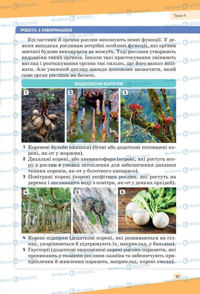 Учебники Биология 7 класс страница 91