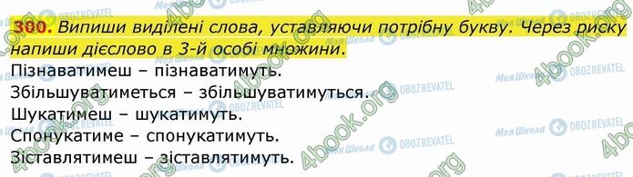 ГДЗ Українська мова 4 клас сторінка 300