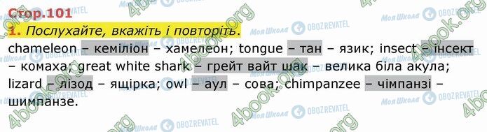 ГДЗ Англійська мова 4 клас сторінка Стр.101 (1)