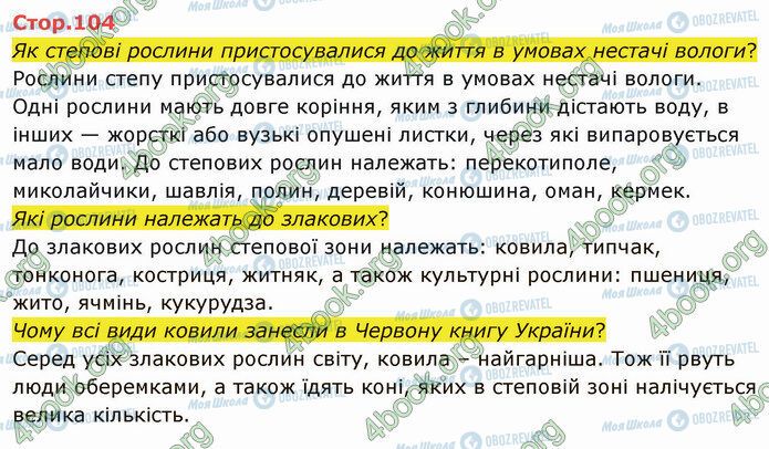 ГДЗ Я досліджую світ 4 клас сторінка Стр.104 (1)