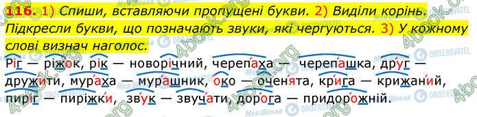 ГДЗ Укр мова 3 класс страница 116