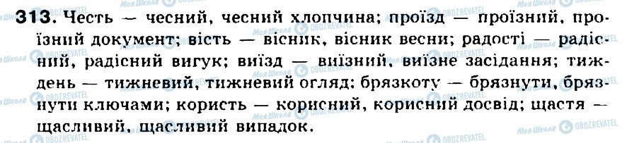 ГДЗ Українська мова 5 клас сторінка 313