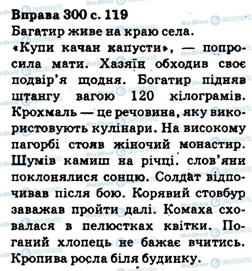 ГДЗ Укр мова 5 класс страница 300