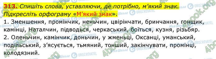 ГДЗ Українська мова 5 клас сторінка 313