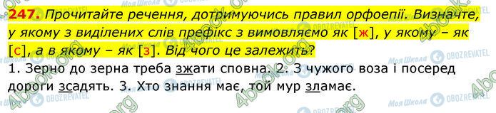 ГДЗ Укр мова 5 класс страница 247