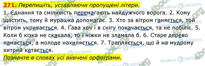 ГДЗ Українська мова 5 клас сторінка 271