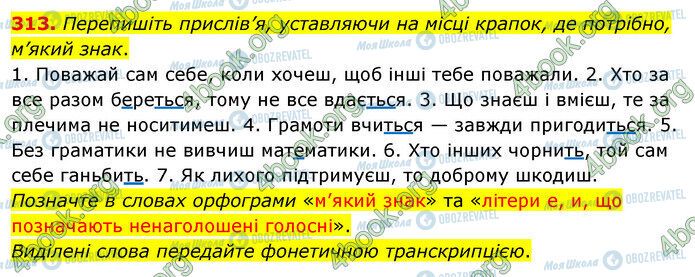 ГДЗ Українська мова 5 клас сторінка 313