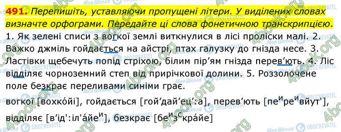 ГДЗ Українська мова 5 клас сторінка 491