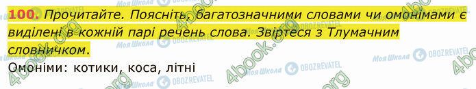 ГДЗ Українська мова 5 клас сторінка 100