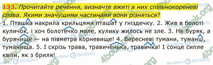 ГДЗ Українська мова 5 клас сторінка 133