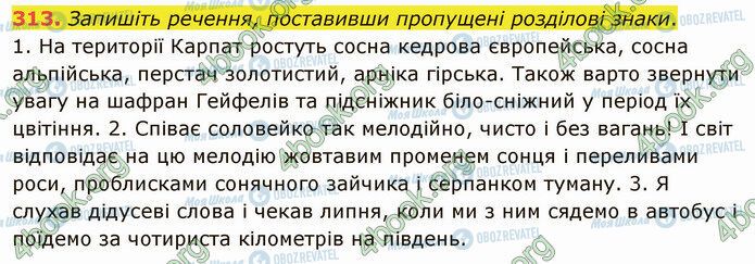 ГДЗ Українська мова 5 клас сторінка 313