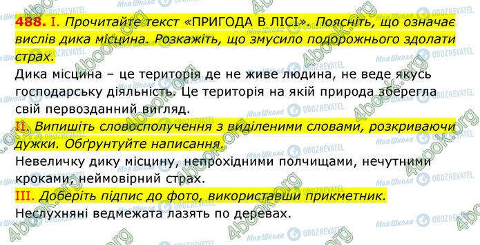 ГДЗ Українська мова 6 клас сторінка 488