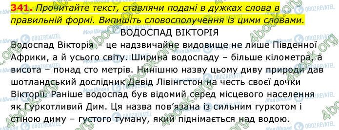 ГДЗ Українська мова 6 клас сторінка 341