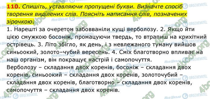 ГДЗ Українська мова 6 клас сторінка 110