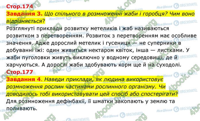 ГДЗ Природознавство 6 клас сторінка Стр.174-177 (3-4)