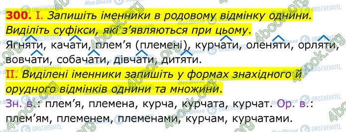 ГДЗ Українська мова 6 клас сторінка 300