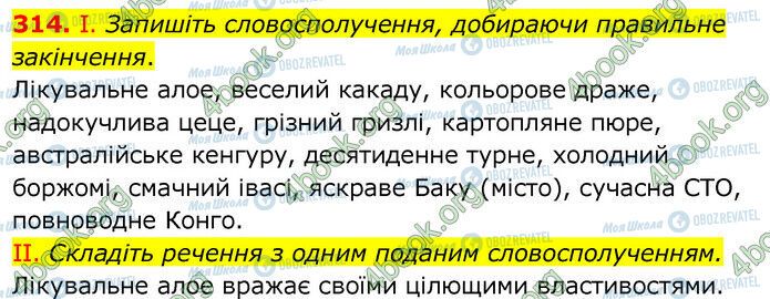 ГДЗ Українська мова 6 клас сторінка 314