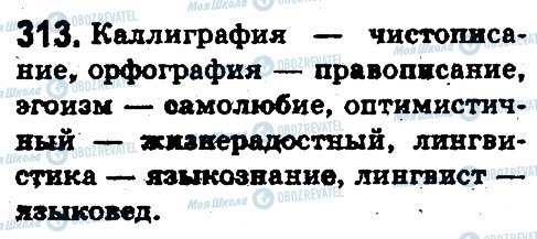ГДЗ Російська мова 5 клас сторінка 313