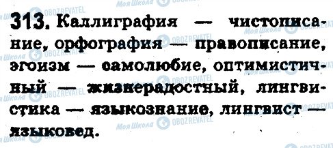 ГДЗ Русский язык 5 класс страница 313