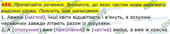 ГДЗ Українська мова 7 клас сторінка 486