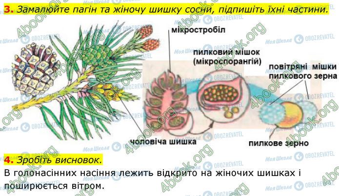 ГДЗ Биология 7 класс страница Стр.68 (3-4)