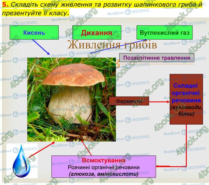 ГДЗ Биология 7 класс страница Стр.114 (5)