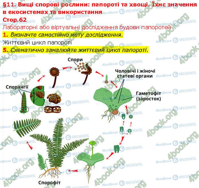 ГДЗ Биология 7 класс страница Стр.62 (1-5)