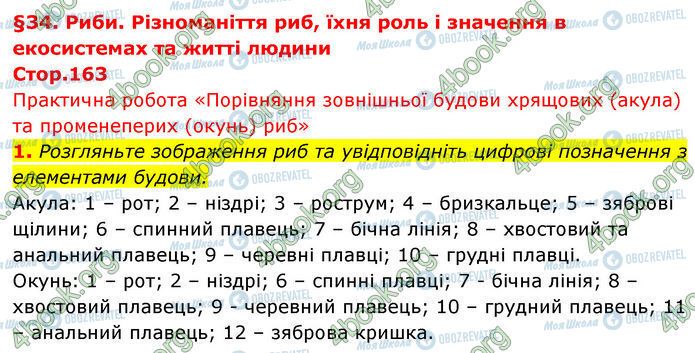 ГДЗ Биология 7 класс страница Стр.163 (1)