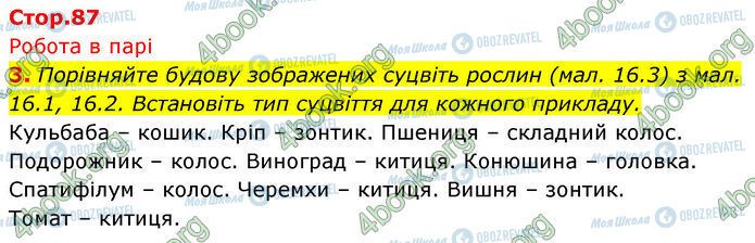 ГДЗ Біологія 7 клас сторінка Стр.87