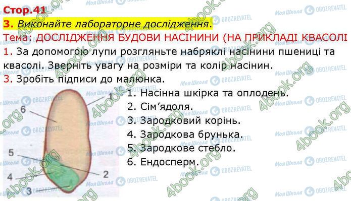 ГДЗ Биология 7 класс страница Стр.41 (3.1)