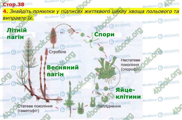 ГДЗ Биология 7 класс страница Стр.38 (4)