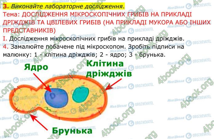 ГДЗ Биология 7 класс страница Стр.96 (3.1)