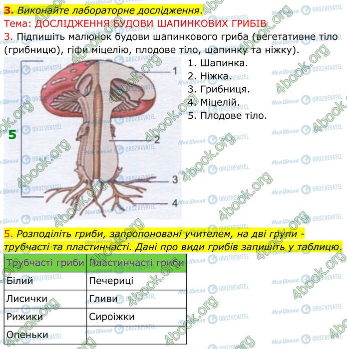 ГДЗ Биология 7 класс страница Стр.98 (3)
