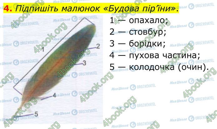 ГДЗ Биология 7 класс страница Стр.87 (4)